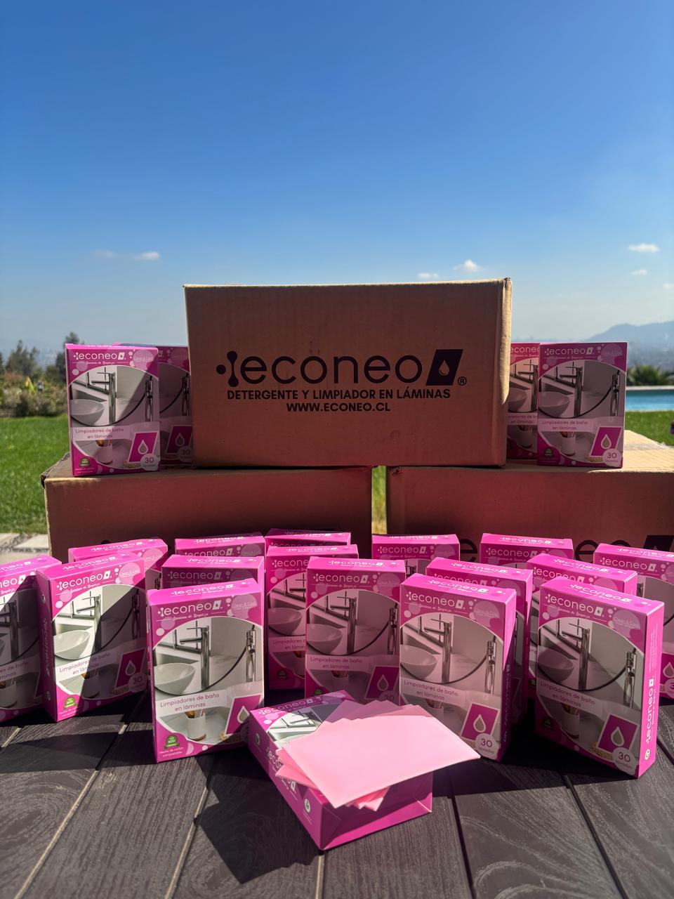 Caja Mayorista Baños Econeo