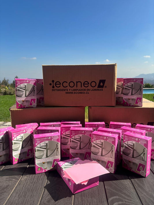 Caja Mayorista Baños Econeo